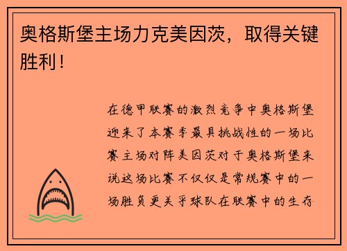 奥格斯堡主场力克美因茨，取得关键胜利！