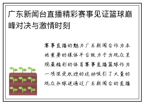 广东新闻台直播精彩赛事见证篮球巅峰对决与激情时刻